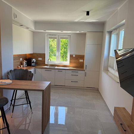 Apartament Nad Barycza 米利奇 外观 照片